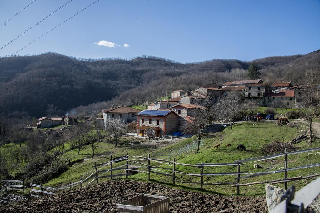 Bed and Breakfast I Poggi Di Grace Fivizzano Zewnętrze zdjęcie